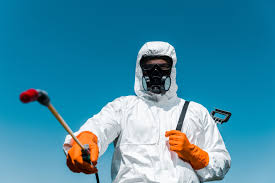 Best Organic or Eco-Friendly Pest Control  in Baldwinsville, NY